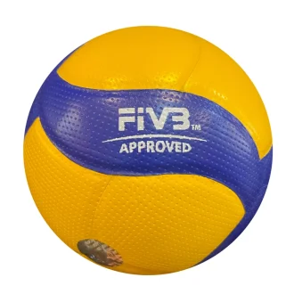 Mikasa Iranian volleyball ball